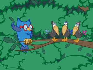 Owl_birds_inoak_s3009_display